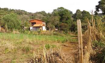 Imagem 7: Chácara á venda no Interior de Chapecó com 50% de mata nativa