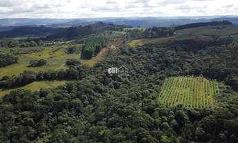 Imagem 4: Terreno à venda em Bom Jardim da Serra