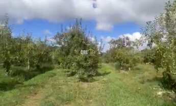 Imagem 5: Terreno à venda em Bom Jardim da Serra