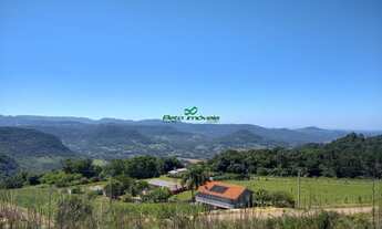 Imagem 3: Terreno em Linha Nova