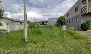 Imagem: Terreno na Alameda Dos Ipês em Ivoti