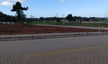 Imagem 4: Terreno bem localizado