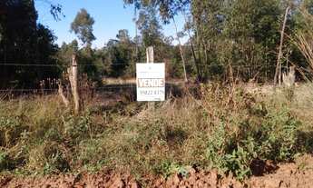 Imagem 4: Área de Terra com 3 Dormitorio(s) localizado(a) no bairro Bairro Sanga Funda em Portão