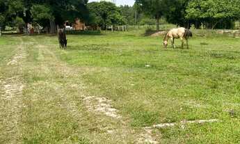 Imagem 2: ótima área com 17,2 hectares para agricultura e criação de gado