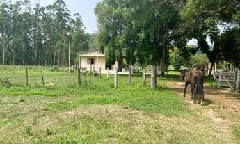 Imagem 3: ótima área com 17,2 hectares para agricultura e criação de gado