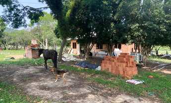 Imagem 4: ótima área com 17,2 hectares para agricultura e criação de gado