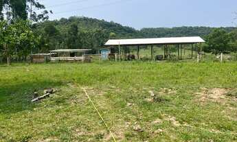 Imagem 5: ótima área com 17,2 hectares para agricultura e criação de gado