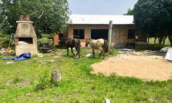 Imagem 6: ótima área com 17,2 hectares para agricultura e criação de gado