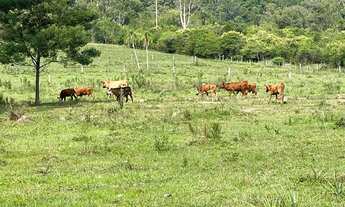 Imagem 7: ótima área com 17,2 hectares para agricultura e criação de gado