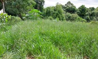 Imagem 4: Lote com 350m2 com 10m de testada próprio para comércio