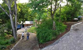 Imagem: Excelente sítio em Lindolfo Collor