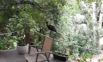 Imagem 2: Excelente sítio em Lindolfo Collor