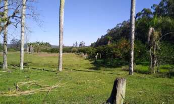 Imagem 4: Sítio em Campestre, São José do Hortêncio, com 120.000m² (12,00 ha)