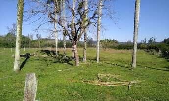 Imagem 3: Sítio em Campestre, São José do Hortêncio, com 120.000m² (12,00 ha)