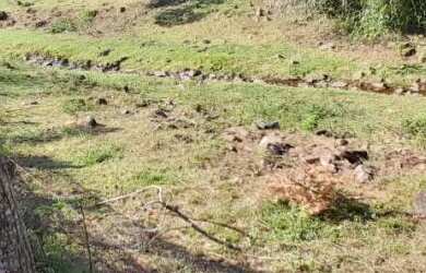 Imagem 5: Chácara com Casa Enxaimel em Lindolfo Collor