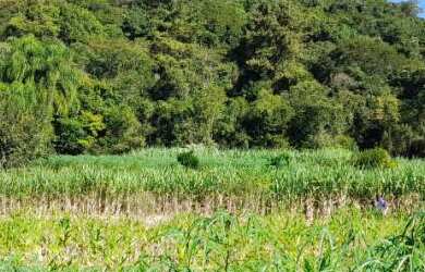 Imagem 7: Chácara com Casa Enxaimel em Lindolfo Collor