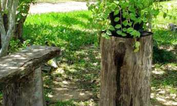 Imagem 3: Chácara em Portão