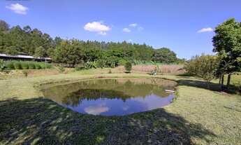 Imagem: Chácara em Lindolfo Collor - localização