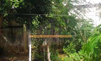 Imagem 3: Casa 3 dormitórios - 5 Colônias - Rua sem saída