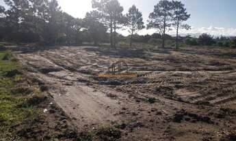 Imagem 3: Ótimo lote de terra em Arroio Teixeira