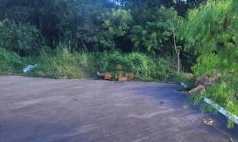 Imagem 5: TERRENO MILANÊS, 462M² de Área Total