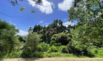 Imagem 2: ÁREA COM 50.000 m² PLANTADO COM EUCALIPTO