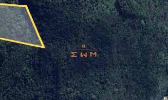 Imagem 3: ÁREA COM 50.000 m² PLANTADO COM EUCALIPTO