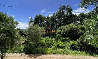 Imagem 5: ÁREA COM 50.000 m² PLANTADO COM EUCALIPTO