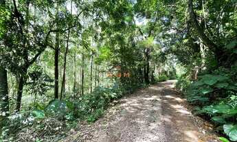 Imagem: ÁREA COM 50.000 m² PLANTADO COM EUCALIPTO