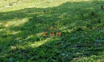 Imagem 4: Área de terra excelente