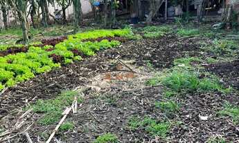 Imagem 3: TERRENO , 390M² de Área Total