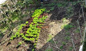 Imagem 4: TERRENO , 390M² de Área Total