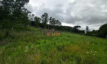 Imagem 2: Imóvel: Área de Terra em Farroupilha disponível para venda - confira!
