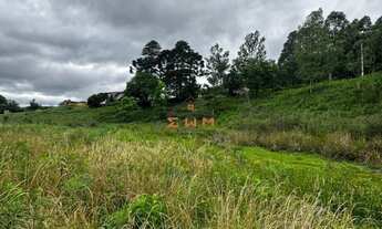 Imagem 3: Imóvel: Área de Terra em Farroupilha disponível para venda - confira!