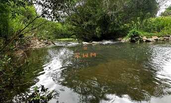 Imagem 5: Imóvel: Área de Terra em Farroupilha disponível para venda - confira!