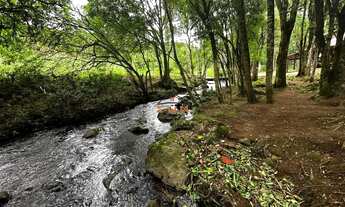 Imagem 4: Imóvel: Área de Terra em Farroupilha disponível para venda - confira!