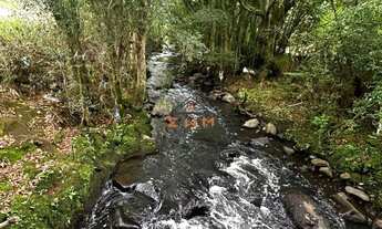 Imagem 6: Imóvel: Área de Terra em Farroupilha disponível para venda - confira!