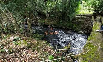 Imagem 7: Imóvel: Área de Terra em Farroupilha disponível para venda - confira!