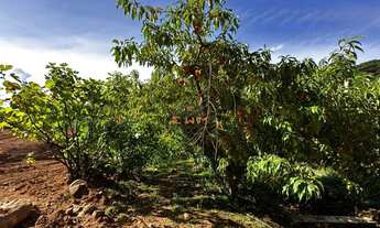 Imagem 6: Terreno à venda em Farroupilha, Santa Rita: confira essa oportunidade!