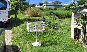 Imagem 3: Terreno com 2 Dormitorio(s) localizado(a) no bairro América em Farroupilha / Rio Grande d