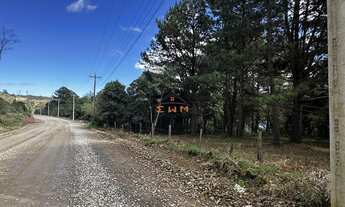Imagem 2: Terreno Plano com Vista Panorâmica para a Barragem da Julieta em Farroupilha - Área Rural