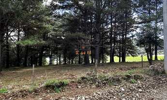 Imagem 3: Terreno Plano com Vista Panorâmica para a Barragem da Julieta em Farroupilha - Área Rural