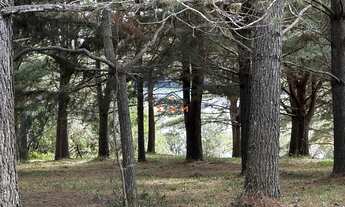 Imagem 4: Terreno Plano com Vista Panorâmica para a Barragem da Julieta em Farroupilha - Área Rural
