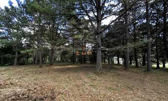 Imagem 5: Terreno Plano com Vista Panorâmica para a Barragem da Julieta em Farroupilha - Área Rural