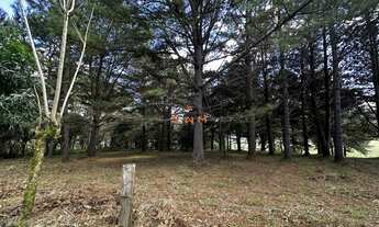 Imagem 6: Terreno Plano com Vista Panorâmica para a Barragem da Julieta em Farroupilha - Área Rural