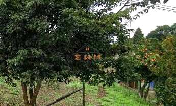 Imagem 1: Terreno à venda em Farroupilha, São Luiz - Oportunidade única!