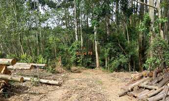 Imagem: Área de terra R$ 110 mil