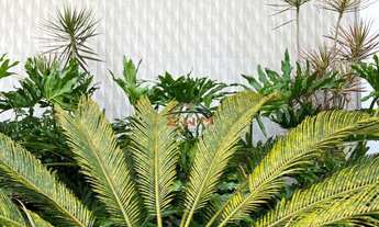 Imagem: APARTAMENTO NO CENTRO