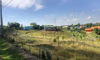 Imagem: Área de Terra em Nova Milano