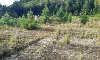 Imagem 3: Terreno em Farroupilha